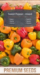 Pepper Sweet Mix Seeds